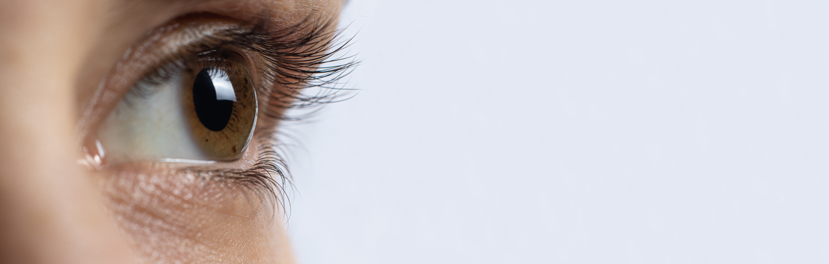 Gonioscopy Lenses Optego Singapore